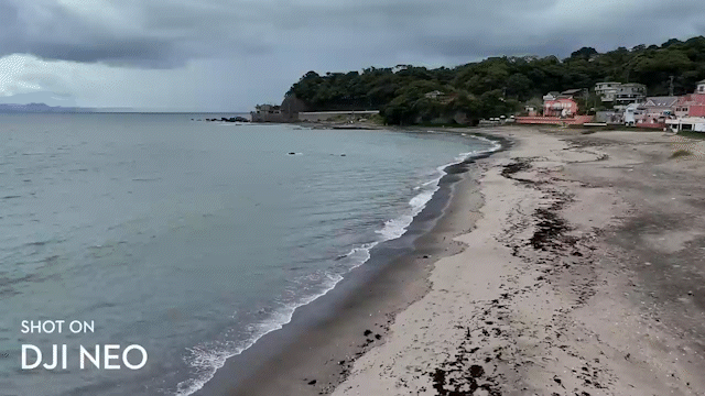 DJI_Neo_rc.gif
