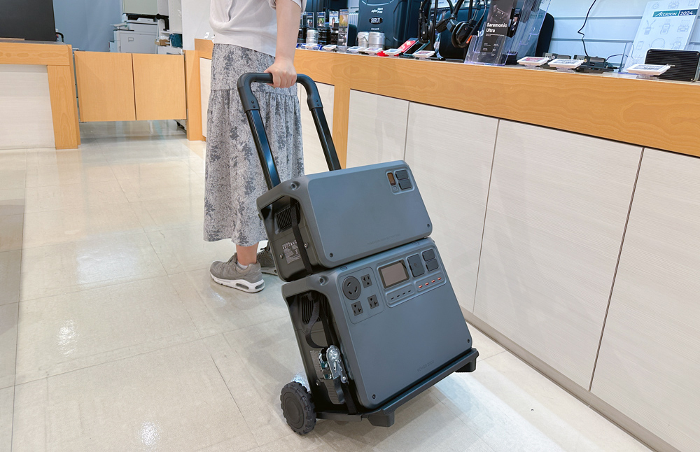 img_djipower1000v2_carry.jpg